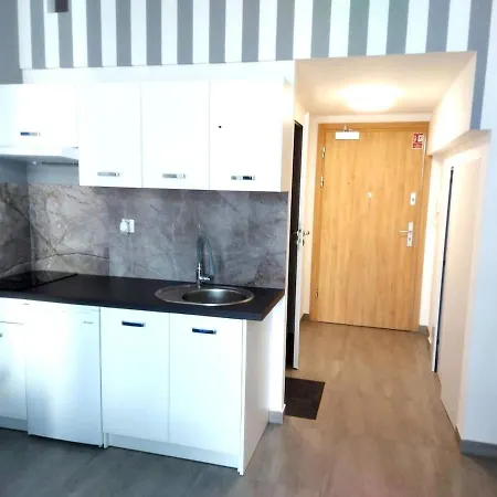 Z Antresola I Balkonem 20 아파트